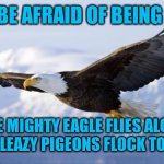 When People Abandon or Exclude You | DON'T BE AFRAID OF BEING ALONE. THE MIGHTY EAGLE FLIES ALONE WHILE SLEAZY PIGEONS FLOCK TOGETHER. | image tagged in eagle,lonely,forever alone,pigeons,true friends | made w/ Imgflip meme maker