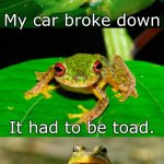 Bad Pun Frog | My car broke down; It had to be toad. | image tagged in bad pun frog,frogs,bad puns,cars | made w/ Imgflip meme maker