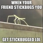 Stickbug | WHEN YOUR FRIEND STICKBUGS YOU; GET STICKBUGGED LOL | image tagged in memes,stick | made w/ Imgflip meme maker