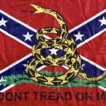 Confederate Gadsden flag