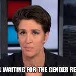 Rachel Maddow  | STILL WAITING FOR THE GENDER REVEAL | image tagged in rachel maddow | made w/ Imgflip meme maker