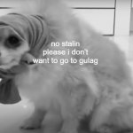 Babushka Dog | no stalin please i don't want to go to gulag | image tagged in babushka dog,ussr,communism,gulag,russia | made w/ Imgflip meme maker