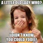 Knock, Knock. Who's There? A Little Old Lady... | A LITTLE OLD LADY WHO? I DIDN’T KNOW YOU COULD YODEL! | image tagged in knock knock who's there | made w/ Imgflip meme maker