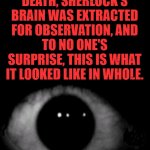 Dark Net Dark Webbers B Leyeke | AFTER HIS DEATH, SHERLOCK'S BRAIN WAS EXTRACTED FOR OBSERVATION, AND TO NO ONE'S SURPRISE, THIS IS WHAT IT LOOKED LIKE IN WHOLE. | image tagged in dark net dark webbers b leyeke | made w/ Imgflip meme maker