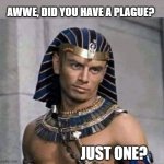 Plague? | AWWE, DID YOU HAVE A PLAGUE? JUST ONE? | image tagged in pharaoh,plague,kids | made w/ Imgflip meme maker