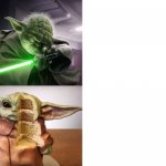 Yoda Warrior vs Cake