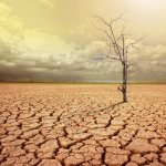 Global warming climate change agriculture collapse desert meme