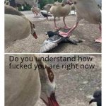 Do you understand how fcuked you are?