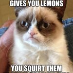 Gumpy Cat | WHEN LIFE GIVES YOU LEMONS; YOU SQUIRT THEM IN OTHER PEOPLE'S EYES | image tagged in gumpy cat | made w/ Imgflip meme maker