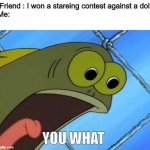 YOU WHAT | Friend : I won a stareing contest against a doll
Me:; YOU WHAT | image tagged in you what | made w/ Imgflip meme maker
