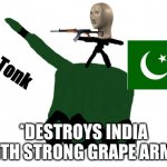hi | *DESTROYS INDIA WITH STRONG GRAPE ARMY* | image tagged in tonks | made w/ Imgflip meme maker