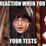 Harry Potter | YOUR REACTION WHEN YOU PASS; YOUR TESTS | image tagged in harry potter | made w/ Imgflip meme maker