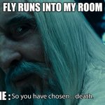 choose death | FLY RUNS INTO MY ROOM; ME : | image tagged in choose death | made w/ Imgflip meme maker