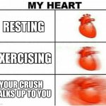 MY HEART | YOUR CRUSH WALKS UP TO YOU | image tagged in my heart | made w/ Imgflip meme maker