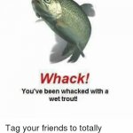whack | image tagged in whack,cattigan,anonymously deleted,scorpia,hordak | made w/ Imgflip meme maker