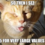 Punchline Cat | SO THEN I SEZ; 2+2=5 FOR VERY LARGE VALUES OF 2!! | image tagged in punchline cat | made w/ Imgflip meme maker