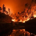 Manmade global warming forest fire