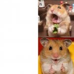 Hamster bad and good