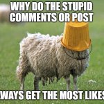 why? | WHY DO THE STUPID COMMENTS OR POST; ALWAYS GET THE MOST LIKES? | image tagged in stupid sheep,stupid,idiot,likes,dumb,wtf | made w/ Imgflip meme maker