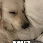 Wake me up for Zoom | WAKE ME UP; WHEN IT'S TIME FOR ZOOM. | image tagged in sleepy dog | made w/ Imgflip meme maker