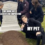 meme | ME HOW GOT KILLED BY THE IMPOSTOR; MY PET | image tagged in barry allen grave | made w/ Imgflip meme maker