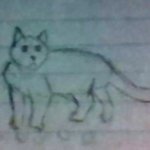 cat drawn