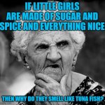 Wondering Old Lady | IF LITTLE GIRLS ARE MADE OF SUGAR AND SPICE AND EVERYTHING NICE; THEN WHY DO THEY SMELL LIKE TUNA FISH? | image tagged in wondering old lady | made w/ Imgflip meme maker