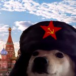 Russian Dog Meme that you not gonna use meme