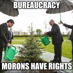 bureaucracy | BUREAUCRACY; COS MORONS HAVE RIGHTS TOO | image tagged in idiots | made w/ Imgflip meme maker