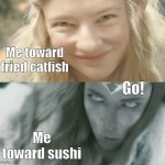 Galadriel Two Sides | Me toward fried catfish; Go! Me toward sushi | image tagged in galadriel two sides,memes,lotr,lord of the rings | made w/ Imgflip meme maker