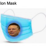 elon mask