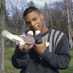 Now Kith
