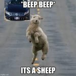 literal version | *BEEP BEEP*; ITS A SHEEP | image tagged in dancing sheep | made w/ Imgflip meme maker