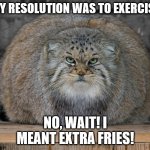 Resolution | MY RESOLUTION WAS TO EXERCISE; NO, WAIT! I MEANT EXTRA FRIES! | image tagged in fat cats exercise | made w/ Imgflip meme maker