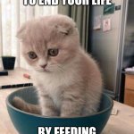 bowl of sad kittie | WHEN YOU DECIDE TO END YOUR LIFE; BY FEEDING YOURSELF TO THE DOG | image tagged in bowl of sad kittie | made w/ Imgflip meme maker