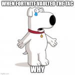 XD | WHEN FORTNITE VAULTED THE TAC WHY | image tagged in memes,family guy brian | made w/ Imgflip meme maker