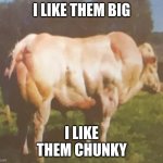 I like them big | I LIKE THEM BIG; I LIKE THEM CHUNKY | image tagged in chunky cow | made w/ Imgflip meme maker