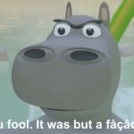 you fool it was but a facade