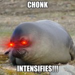 Chonk Intensifies!!! | CHONK; INTENSIFIES!!! | image tagged in intense seal | made w/ Imgflip meme maker