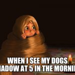 Scared Rapunzel | WHEN I SEE MY DOGS SHADOW AT 5 IN THE MORNING | image tagged in scared rapunzel | made w/ Imgflip meme maker