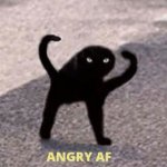Angry af cat