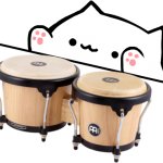 bongo cat