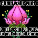 Plantera | Can climb walls with ease; Can't seem to figure out to just start off enraged. | image tagged in plantera | made w/ Imgflip meme maker