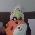 they have come