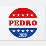 Vote for pedro 2020