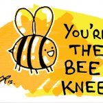 You’re the bee’s knees meme