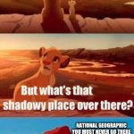 lion king light touches shadowy place kek | EVERYTHING THE LIGHT TOUCHES IS DISNEY, SIMBA; NATIONAL GEOGRAPHIC
YOU MUST NEVER GO THERE | image tagged in lion king light touches shadowy place kek | made w/ Imgflip meme maker