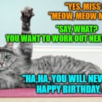 Cat Working Out | "YES, MISS KITTY,?" 
 "MEOW, MEOW MEOW, MEOW!"; "SAY, WHAT? 
YOU WANT TO WORK OUT NEXT TO BOBBIE?"; "HA,HA, YOU WILL NEVER KEEP UP! 
HAPPY BIRTHDAY, BOBBIE! | image tagged in cat working out | made w/ Imgflip meme maker
