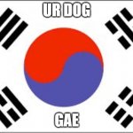 A joke only Koreans will understand | UR DOG; GAE | image tagged in south korean flag,korean,dogs | made w/ Imgflip meme maker