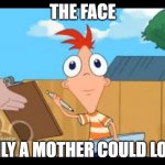 Phineas facing camera | THE FACE; ONLY A MOTHER COULD LOVE | image tagged in phineas facing camera | made w/ Imgflip meme maker